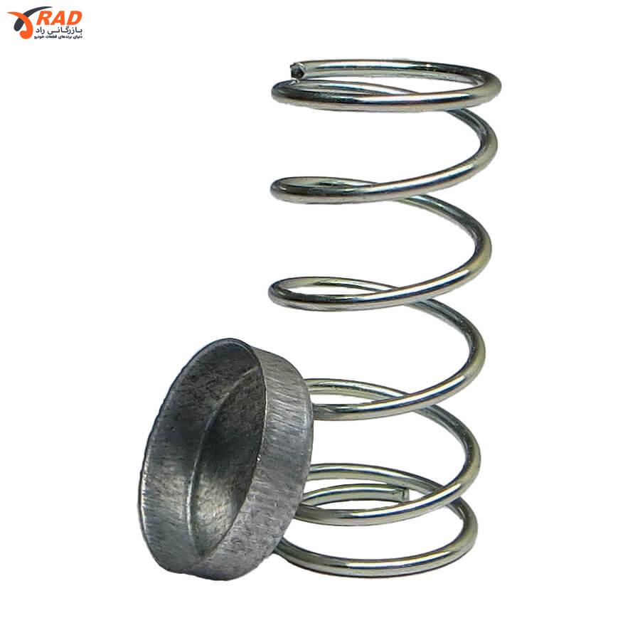 فنر و پولک پلوس پژو