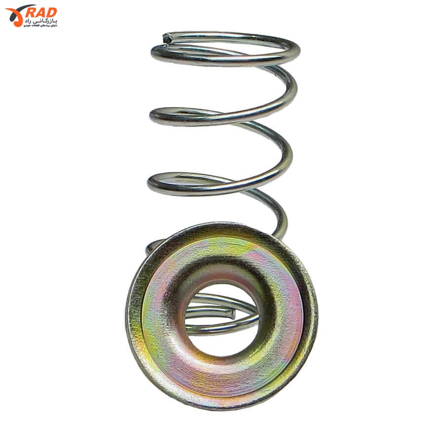 فنر و پولک پلوس پژو