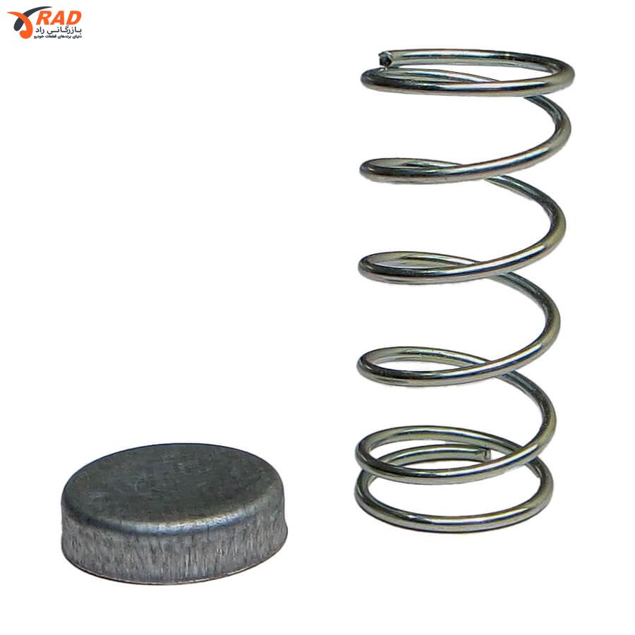 فنر و پولک پلوس پژو