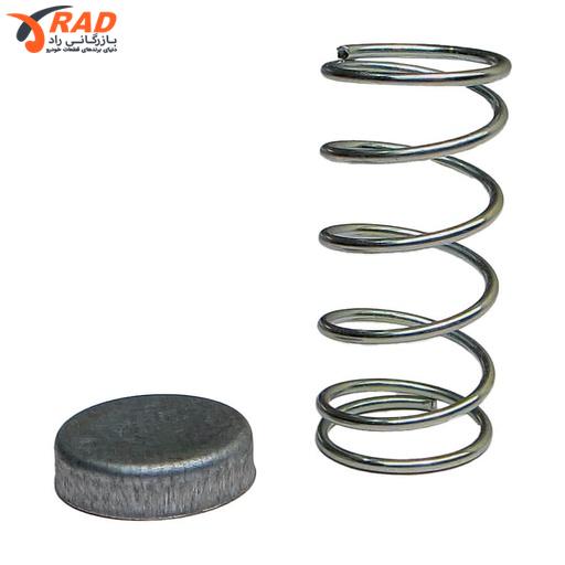 پولک و فنر پلوس پژو